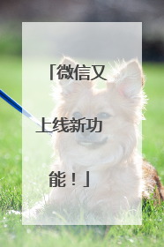 微信又上线新功能！