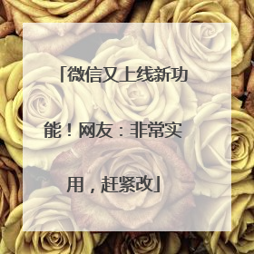 微信又上线新功能！网友：非常实用，赶紧改