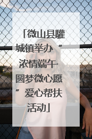 微山县驩城镇举办“浓情端午·圆梦微心愿”爱心帮扶活动