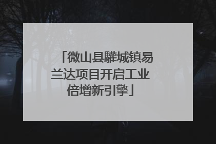微山县驩城镇易兰达项目开启工业倍增新引擎