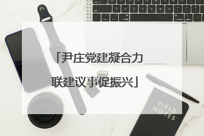 尹庄党建凝合力 联建议事促振兴