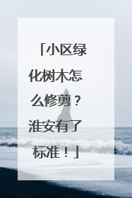 小区绿化树木怎么修剪？淮安有了标准！
