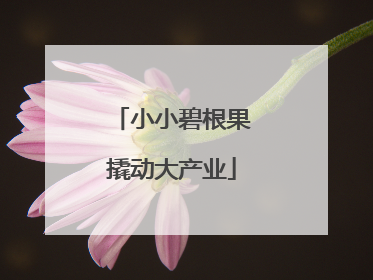小小碧根果撬动大产业
