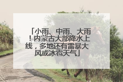 小雨、中雨、大雨！内蒙古大部降水上线，多地还有雷暴大风或冰雹天气