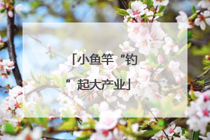小鱼竿“钓”起大产业