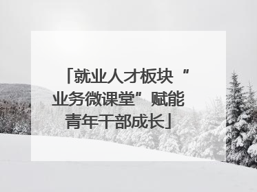 就业人才板块“业务微课堂”赋能青年干部成长