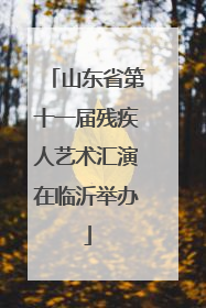 山东省第十一届残疾人艺术汇演在临沂举办