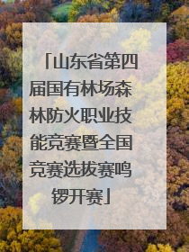 山东省第四届国有林场森林防火职业技能竞赛暨全国竞赛选拔赛鸣锣开赛
