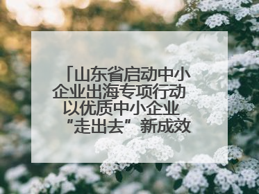 山东省启动中小企业出海专项行动 以优质中小企业“走出去”新成效展示山东产业发展新形象