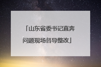 山东省委书记直奔问题现场督导整改
