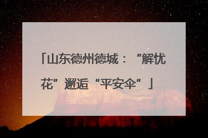 山东德州德城：“解忧花”邂逅“平安伞”