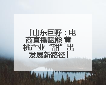 山东巨野：电商直播赋能 黄桃产业“甜”出发展新路径
