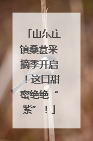 山东庄镇桑葚采摘季开启！这口甜蜜绝绝“紫”！