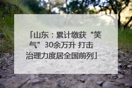 山东：累计缴获“笑气”30余万升 打击治理力度居全国前列