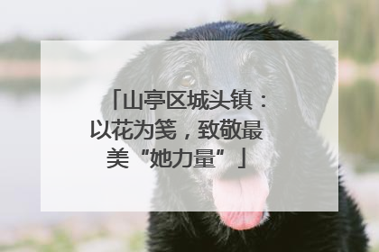 山亭区城头镇：以花为笺，致敬最美“她力量”
