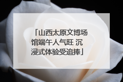 山西太原文博场馆端午人气旺 沉浸式体验受追捧
