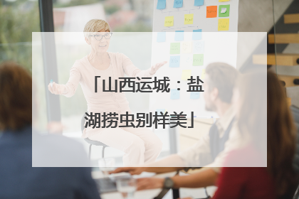 山西运城：盐湖捞虫别样美