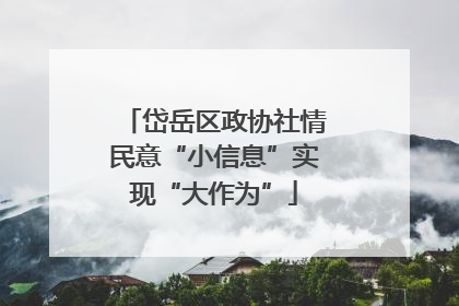 岱岳区政协社情民意“小信息”实现“大作为”