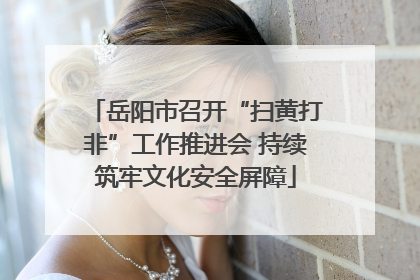 岳阳市召开“扫黄打非”工作推进会 持续筑牢文化安全屏障