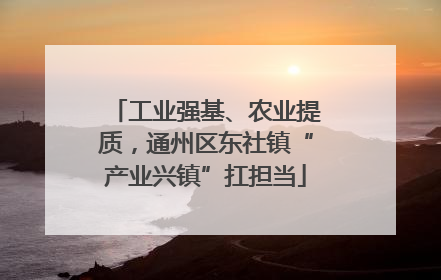 工业强基、农业提质，通州区东社镇“产业兴镇”扛担当
