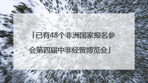 已有48个非洲国家报名参会第四届中非经贸博览会