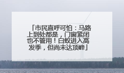 市民直呼可怕：马路上到处都是，门窗紧闭也不管用！白蚁进入高发季，但尚未达顶峰