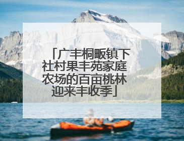 广丰桐畈镇下社村果丰苑家庭农场的百亩桃林迎来丰收季