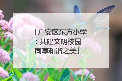 广安区东方小学：共建文明校园 同享和谐之美