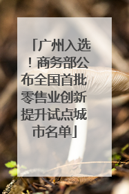广州入选！商务部公布全国首批零售业创新提升试点城市名单