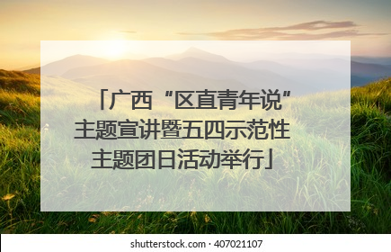 广西“区直青年说”主题宣讲暨五四示范性主题团日活动举行