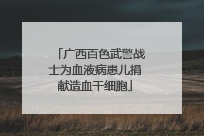 广西百色武警战士为血液病患儿捐献造血干细胞