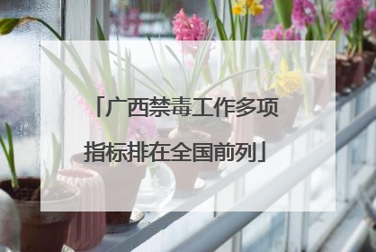 广西禁毒工作多项指标排在全国前列