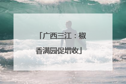 广西三江：椒香满园促增收