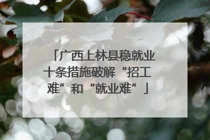 广西上林县稳就业十条措施破解“招工难”和“就业难”