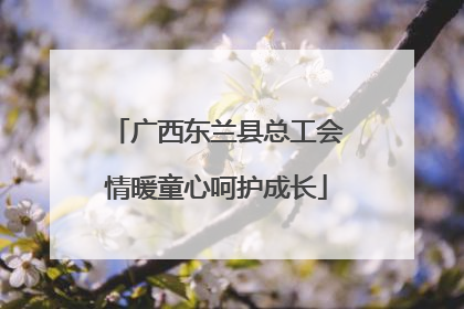 广西东兰县总工会情暖童心呵护成长
