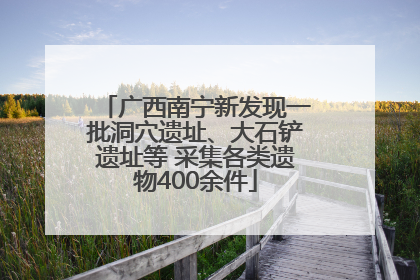 广西南宁新发现一批洞穴遗址、大石铲遗址等 采集各类遗物400余件