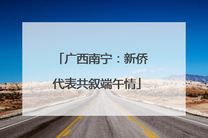 广西南宁：新侨代表共叙端午情