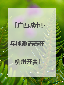 广西城市乒乓球邀请赛在柳州开赛