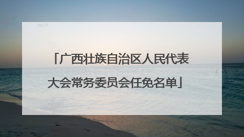 广西壮族自治区人民代表大会常务委员会任免名单