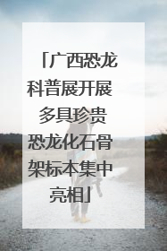广西恐龙科普展开展 多具珍贵恐龙化石骨架标本集中亮相