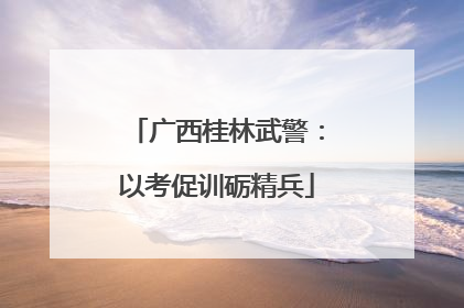 广西桂林武警：以考促训砺精兵