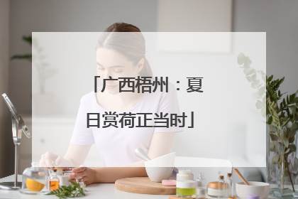 广西梧州：夏日赏荷正当时