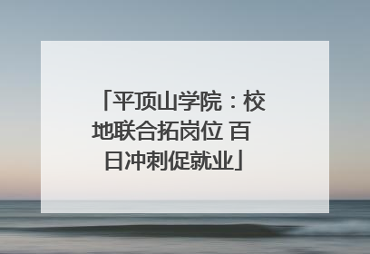 平顶山学院：校地联合拓岗位 百日冲刺促就业