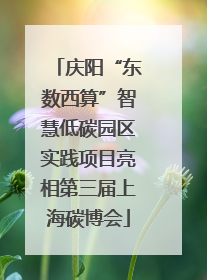 庆阳“东数西算”智慧低碳园区实践项目亮相第三届上海碳博会