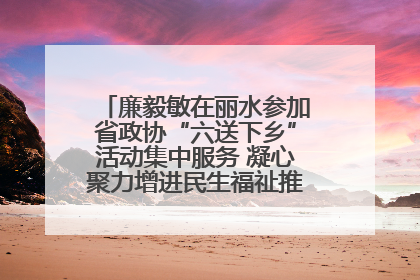 廉毅敏在丽水参加省政协“六送下乡”活动集中服务 凝心聚力增进民生福祉推进共同富裕
