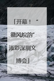 开幕！“徽风皖韵”添彩深圳文博会