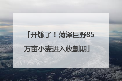 开镰了！菏泽巨野85万亩小麦进入收割期