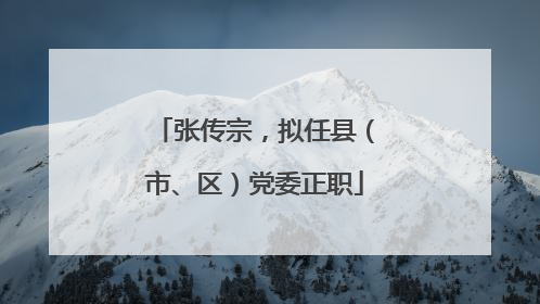 张传宗，拟任县（市、区）党委正职