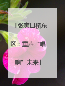 张家口桥东区：童声“唱响”未来