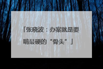 张晓波：办案就是要啃最硬的“骨头”